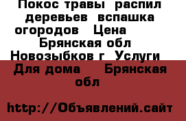 Покос травы, распил деревьев, вспашка огородов › Цена ­ 200 - Брянская обл., Новозыбков г. Услуги » Для дома   . Брянская обл.